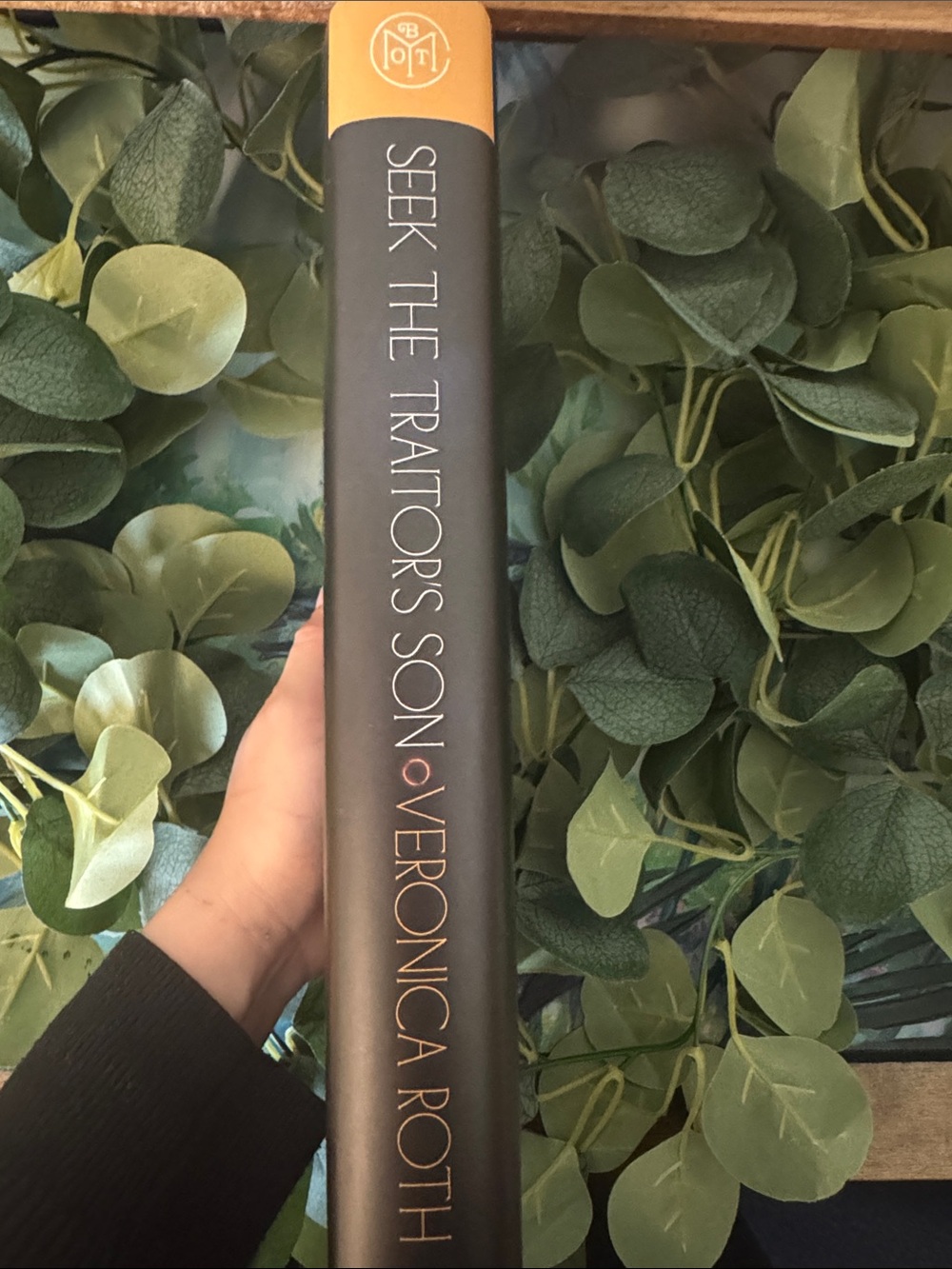 Seek the Traitor's Son by Veronica Roth - Picture 3 of 3